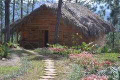 Cabaña El Pinar